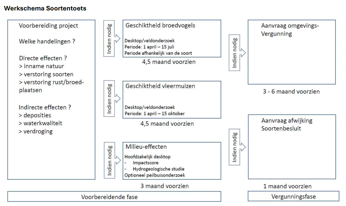 Werkschema Soortentoets van Natuur en Bos: voorbereiding, onderzoek broedvogels (1 april - 15 juli), vleermuizen (1 april - 15 oktober) en milieueffecten, daarna aanvraag omgevingsvergunning en eventueel afwijking Soortenbesluit